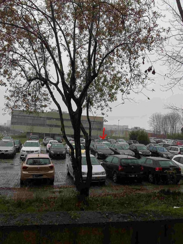 tesla 2018 parque.jpg (207.62 KiB) Visto 7403 vezes será que o dono anda por cá?