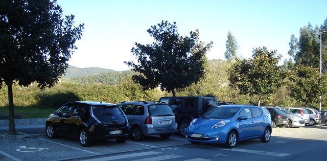 DSC01205.JPG